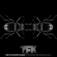 [2012] - Metamorphosiz - The End Remixes Vol. 1 [EP]