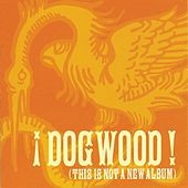 Dogwood – (This Is Not A New Album) (2022) CD Album