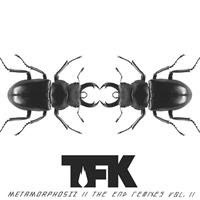 [2013] - Metamorphosiz - The End Remixes Vol. 2 [EP]