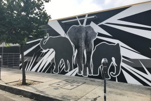elephants Where to Find Los Angeles Best Painted Walls
