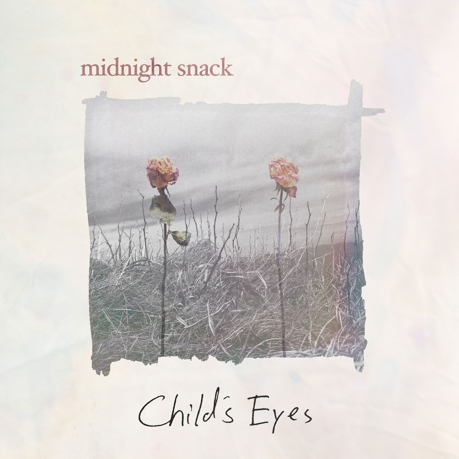 ms ce 1500 Ashevilles Midnight Snack share new album Childs Eyes: Stream