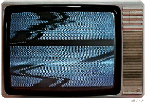 tv Which TV Network is Having the Best Year?