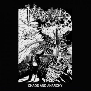 marginal-chaos-and-anarchy